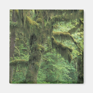 U.S.A., Washington, Olympic National Park. Magneet