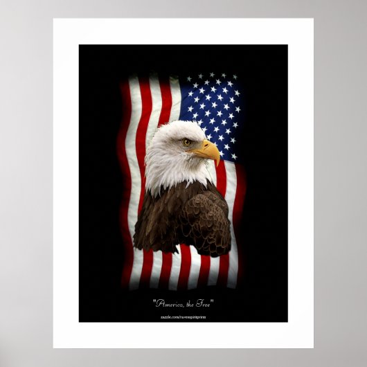 U.S. Flag & Bald Eagle Patriotic Poster Print (Devant)