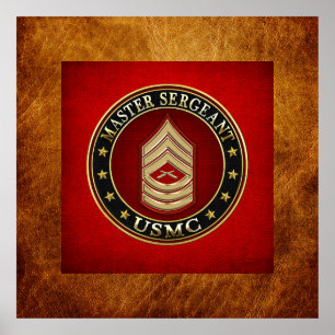 U.S. Marines: Hoofdinspecteur (USMC MSgt) [3D] Poster