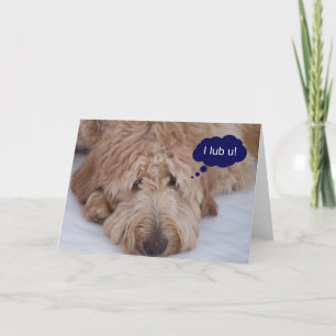 U van Goldendoodle "I lub!" Kaart