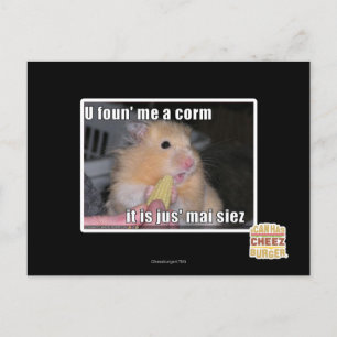 U vond me een graan briefkaart