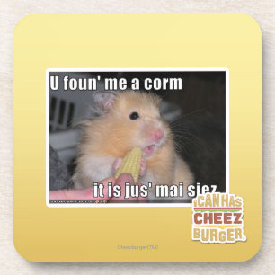 U vond me een maïs bier onderzetter