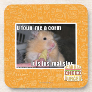 U vond me een maïs drankjes onderzetter