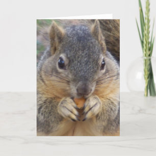 U wordt uitgenodigd Om het even welke Kaart