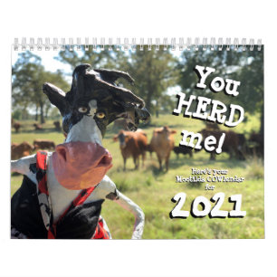 U zult een betere COWlendar dan dit vinden Kalender