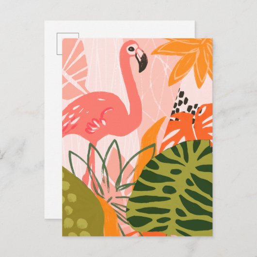 UA Oerwoud Flamingo II Briefkaart (Voorkant / Achterkant)