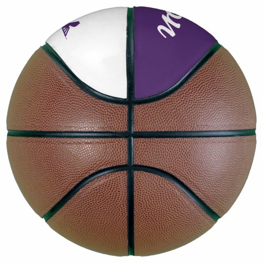 UAlbany Dane Train Logo Basketbal (Rechts)