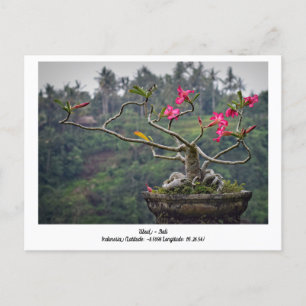 Ubud, Bali Indonésie Carte postale de voyage de va