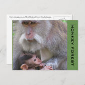 ubud macaque briefkaart (Voorkant / Achterkant)