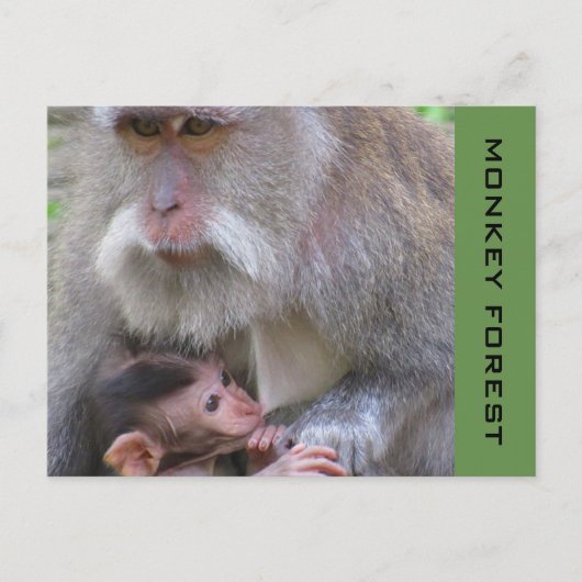 ubud macaque briefkaart (Voorkant)
