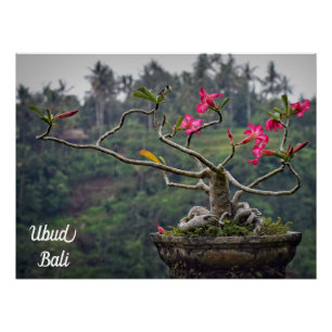 Ubud Reizen, Bali Reizen Perfect Poster