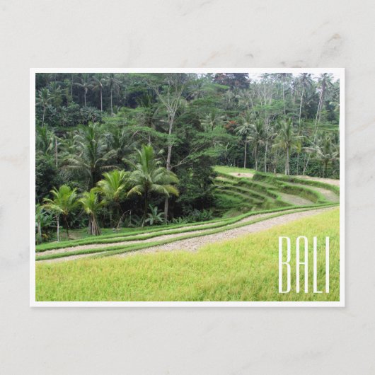 ubud rijstterrassen briefkaart (Voorkant)