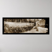 UC Berkeley Gradution Photo 1906 Poster (Voorkant)