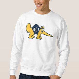 UC Irvine UCI-voorverwarmers Trui