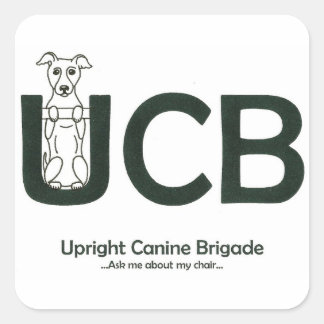UCB Logo-Stickers Vierkante Sticker