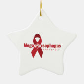 UCB Ornament MegaE Awareness Ribbon (Voorkant)
