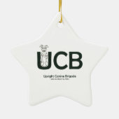UCB Ornament MegaE Awareness Ribbon (Achterkant)
