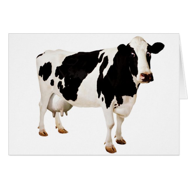 Udder Nonsense (Voorkant Horizontaal)