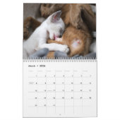 Udderly Momentous Kalender (Mar 2026)