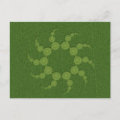 UFO graancirkels Briefkaart (Voorkant)