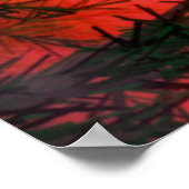 UFO over bos Poster (Hoek)