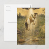 UFO picking up a Gorgeous Gypsy Vanner Horse Briefkaart (Voorkant / Achterkant)