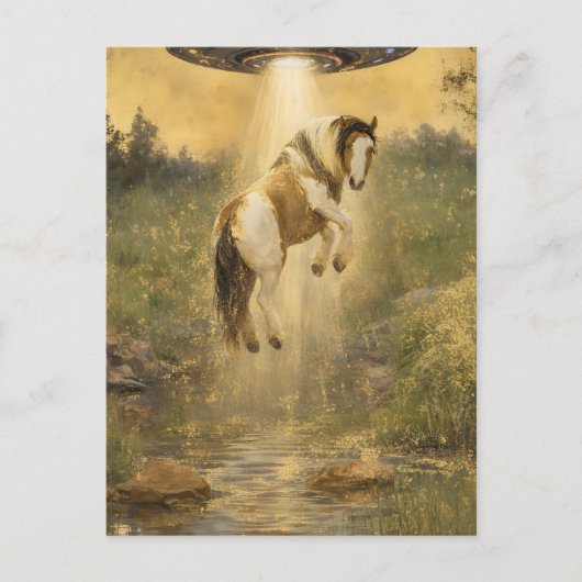 UFO picking up a Gorgeous Gypsy Vanner Horse Briefkaart (Voorkant)