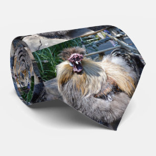 Ugly Chicken, Stropdas