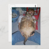 Ugly Fat Cat Briefkaart (Voorkant / Achterkant)