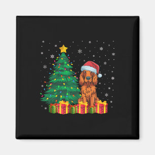 Ugly Irish Setter Santa Hat Kerstverlichting Hond Magneet
