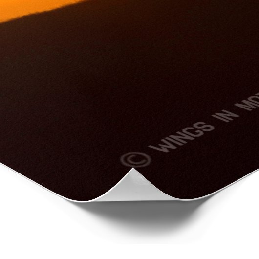 UH-1Y VENOM POSTER (Hoek)