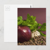 Uien Briefkaart (Voorkant / Achterkant)