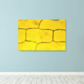 Uien Plant cellen Canvas Afdruk (Insitu (Houten vloer))