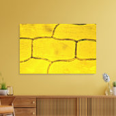 Uien Plant cellen Canvas Afdruk (Insitu (Woonkamer))