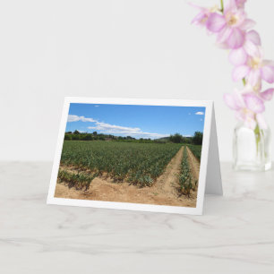 Uienveld Landschap Kaart