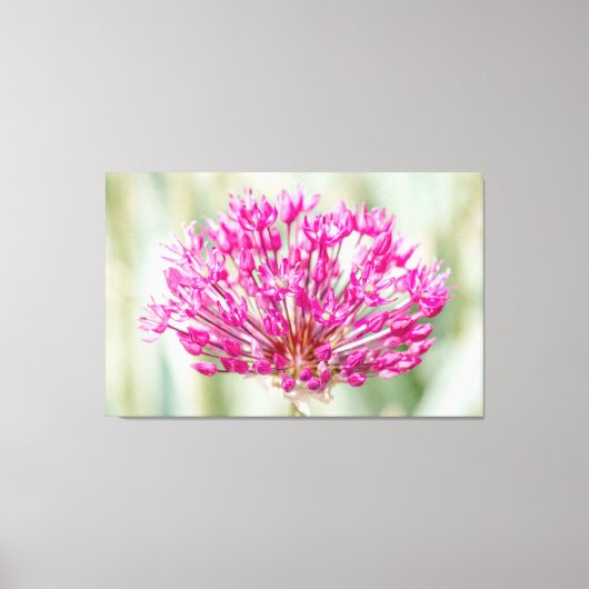 Uienventiel Canvas Afdruk (Voorkant)