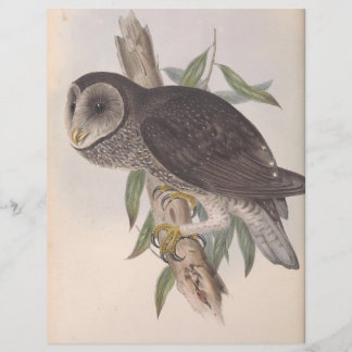 Uil