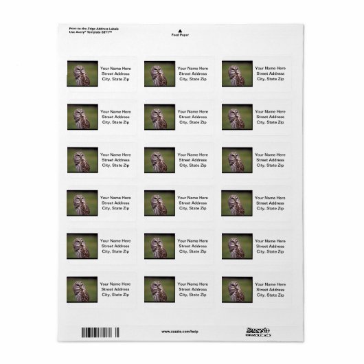 Uil (5) etiket (Full Sheet)