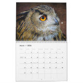 Uil Afbeeldingen en Afbeeldingen 2025 Kalender (Mar 2026)