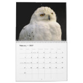 Uil Afbeeldingen en Afbeeldingen 2025 Kalender (Feb 2027)