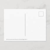 Uil Briefkaart (Achterkant)