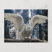 uil briefkaart (Voorkant)