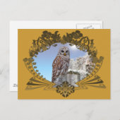 Uil Briefkaart (Voorkant / Achterkant)