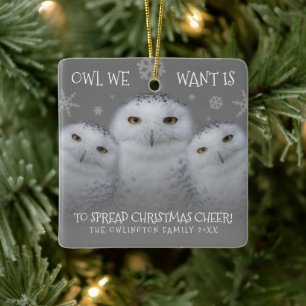 Uil die we willen verspreiden Kerst Cheer Snowy Ui Keramisch Ornament