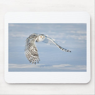 Uil Dier Vogel Winter Sneeuw Bevroren Ijs Koud Muismat