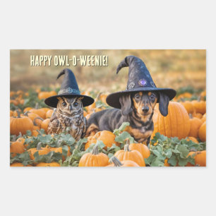 Uil en Dachshund worsthond Halloween grappig Rechthoekige Sticker