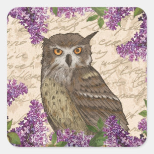 uil en lila vierkante sticker