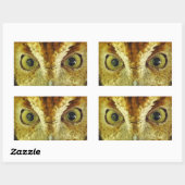 Uil Eyes Screech Uil Sticker (Vel)