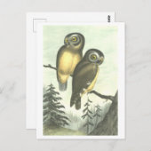  Uil Illustratie Briefkaart (Voorkant / Achterkant)