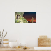 uil in cactus - Poster (Keuken)